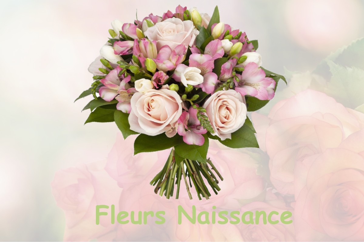fleurs naissance MAISON-FEYNE